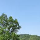 도원네거리-우측 이미지