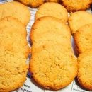 백록초등학교 병설유치원 이미지