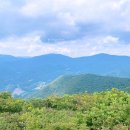 콧바람여행사 이미지