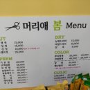 머리애봄 - 동래구 | 머리애봄