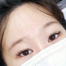 바니속눈썹 이미지