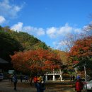 금성산성 이미지