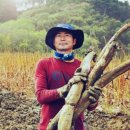 대금농장 이미지