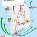 대구사과