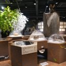 목재문화자연사체험관 이미지