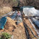 가대 농장 이미지