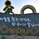 세븐일레븐 파주대능리점 이미지
