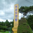 청송보양탕 이미지