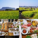 유채꽃향기처럼 | 성산일출봉 유채밭 제주도 유채꽃 명소 근처 타쿠마스시 제주도 동쪽 여행 코스