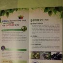 반곡농장 이미지