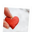 가온결혼 이미지