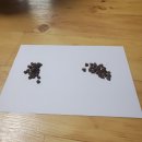 원벨리캣 네이버블로그