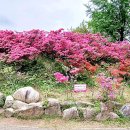 완산-124 이미지