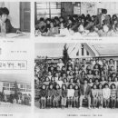 대마초등학교 이미지