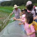 범서(병설)유치원 이미지