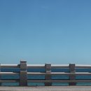 강릉송이 이미지