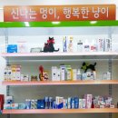 녹십자약국 이미지