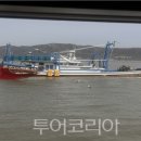 (주)연안항공여행사