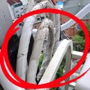 사임당로19길 10 (2) 이미지