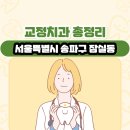서울특별시 송파구 잠실동 교정치과 총정리