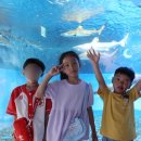 남원읍-126 이미지