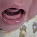 초록샘어린이집 | 8월 육아일기 : 7개월아기 수족구입원, 포장이사, 첫니, 아쿠아리움, 이유식체험팩