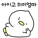 신호과외