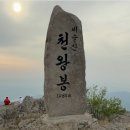 283차 대구 비슬산 &amp; 참꽃문화제 이미지