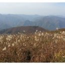 민둥산운동장 1 네이버블로그