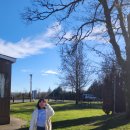 힐링게임랜드 이미지