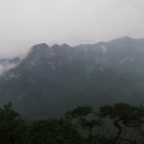 조령산(1,025m) -2009.9.27- ＜22구간＞ 이미지