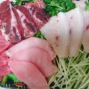 본참치평화동