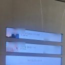강남번역 | 강남호텔결혼식 엘리에나호텔웨딩 솔직후기 (예식은 아쉬움↑, 숙박은 가성비 굿!)