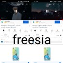 freesia / 20211109 / 오후 6시 이미지