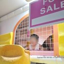 아토키즈풀빌라 이미지