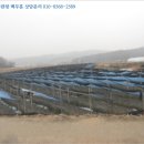 괴산군불정면세평보건진료소 이미지