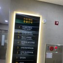 유아 발레 | 목동발레 성인취미부터 유아까지 빌리발레 이지환T 가격 후기