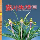 한국춘란 전시회 | 월간 난과생활 5월호