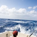 안면도바다사랑낚시 이미지