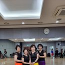 시니어라인댄스 Daum카페
