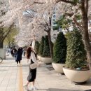 (주)선진화학 | 四字成語 총정리 &lt;ㄱ&gt; 276 개호변액~개화주기