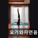 요가와자연음식 이미지