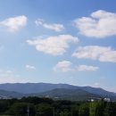 경주굿모닝병원 네이버블로그