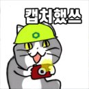 잇쿠