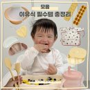 초기 중기 후기 이유식 필수템 총정리! 모윰 이유식기 6개월 실사용 후기