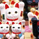 회원동204 이미지