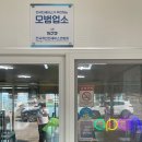 울진 대게 맛집 백암대게마트 후포항 맛집에서 대게 먹은 후기 (가격 공유)