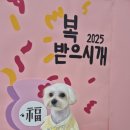 꾸미디자인 이미지