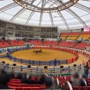 경기장매점식당 이미지