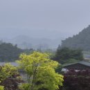 천마니날망